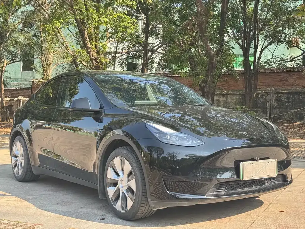 Tesla Model Y — фото 7