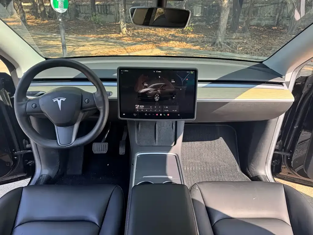 Tesla Model Y — фото 8