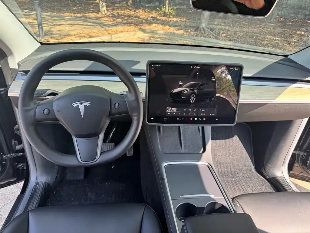 Tesla Model Y — фото 10