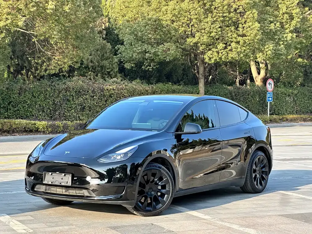 Tesla Model Y 2022 из CN, фото 1
