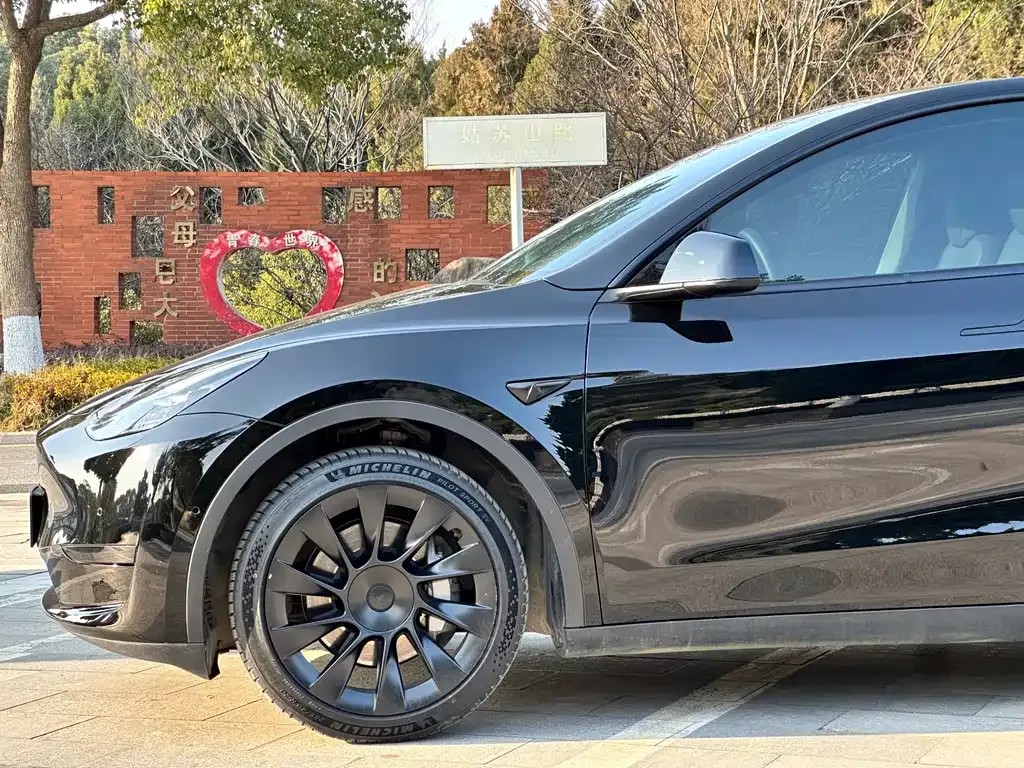 Tesla Model Y 2022 из CN, фото 4