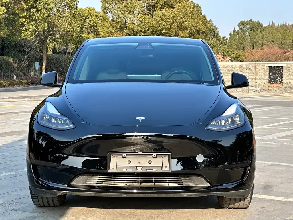 Tesla Model Y 2022 из CN, фото 7