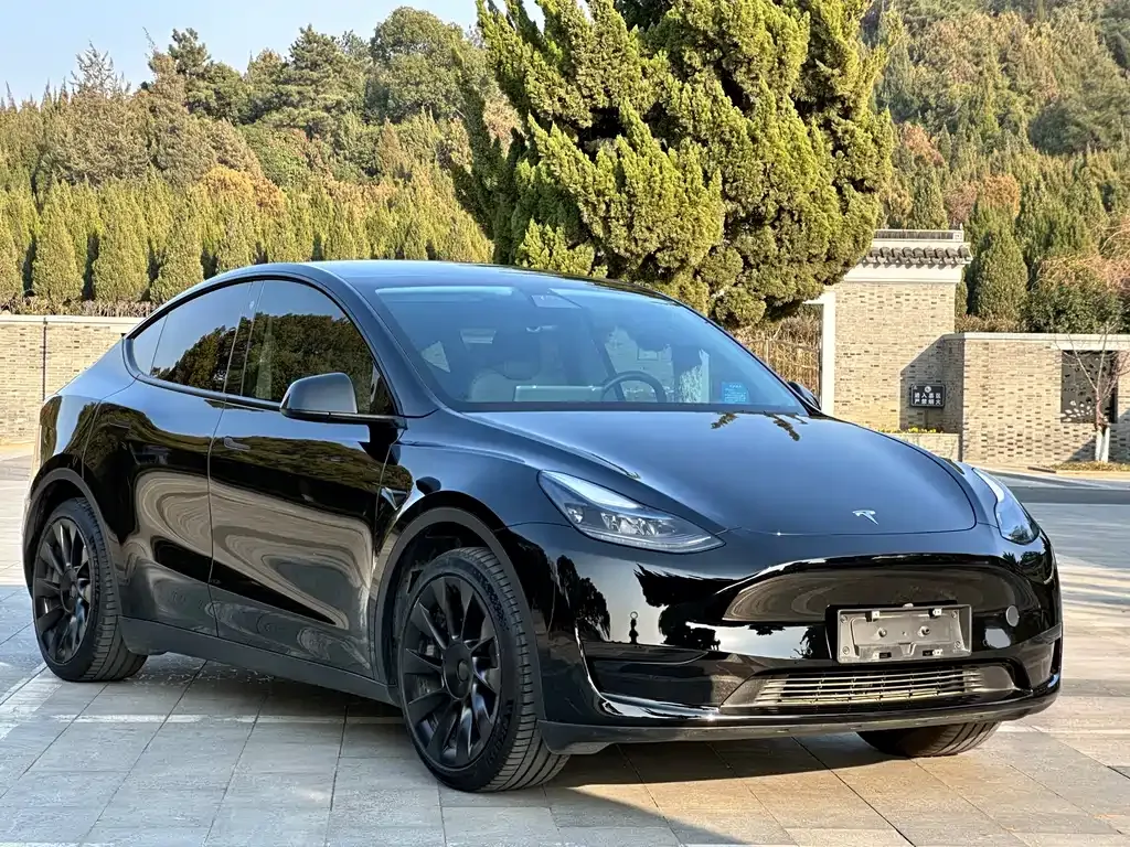 Tesla Model Y 2022 из CN, фото 8