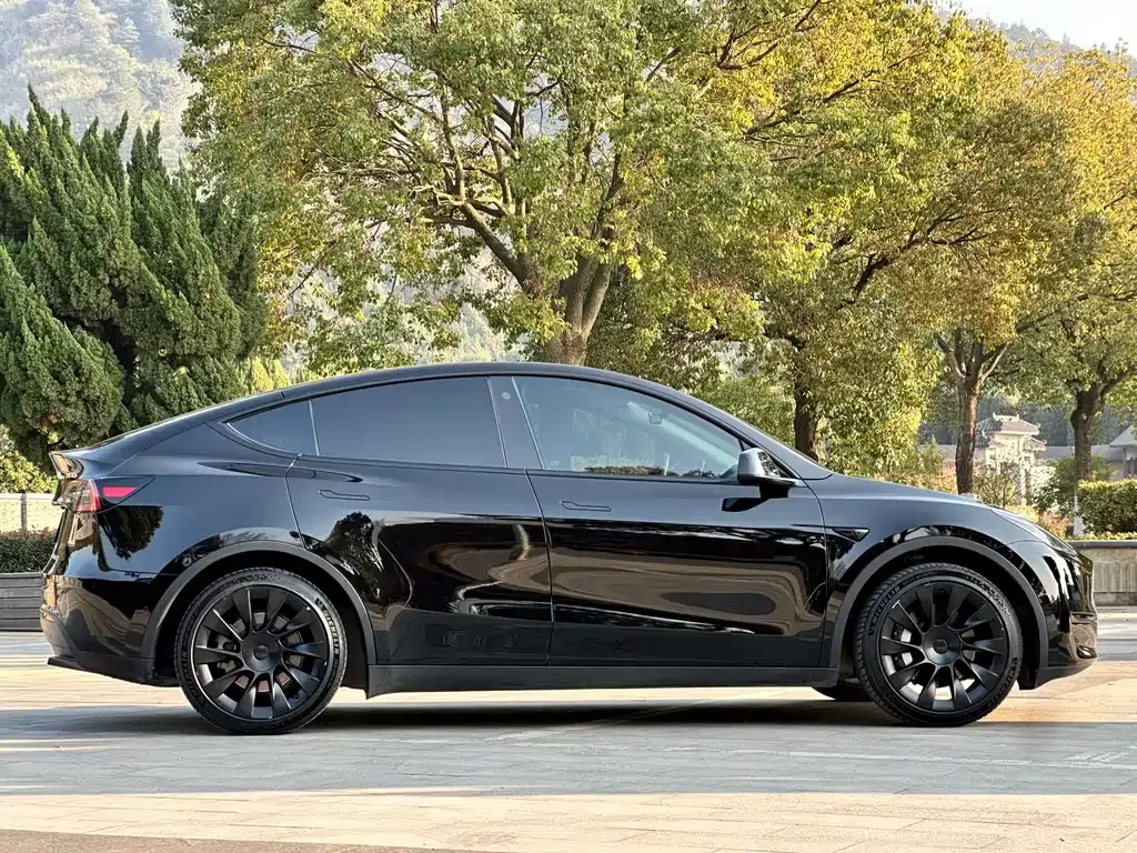 Tesla Model Y 2022 из CN, фото 3
