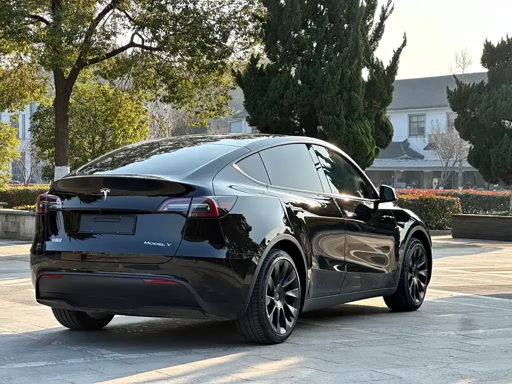 Tesla Model Y 2022 из CN, фото 6