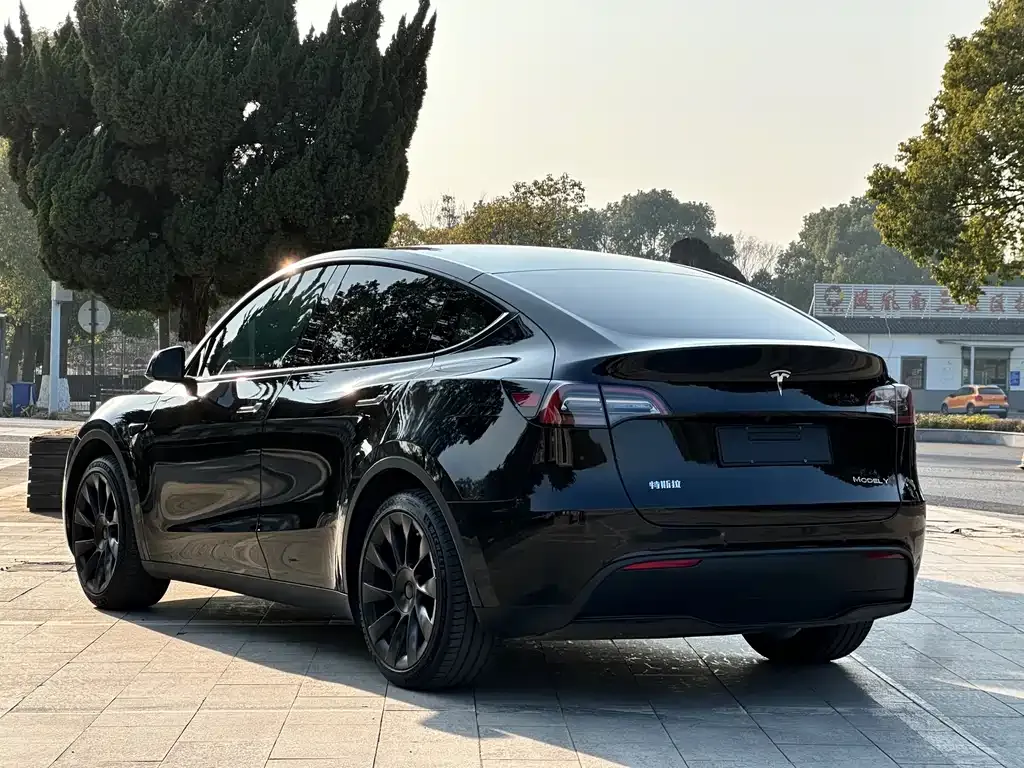 Tesla Model Y 2022 из CN, фото 5