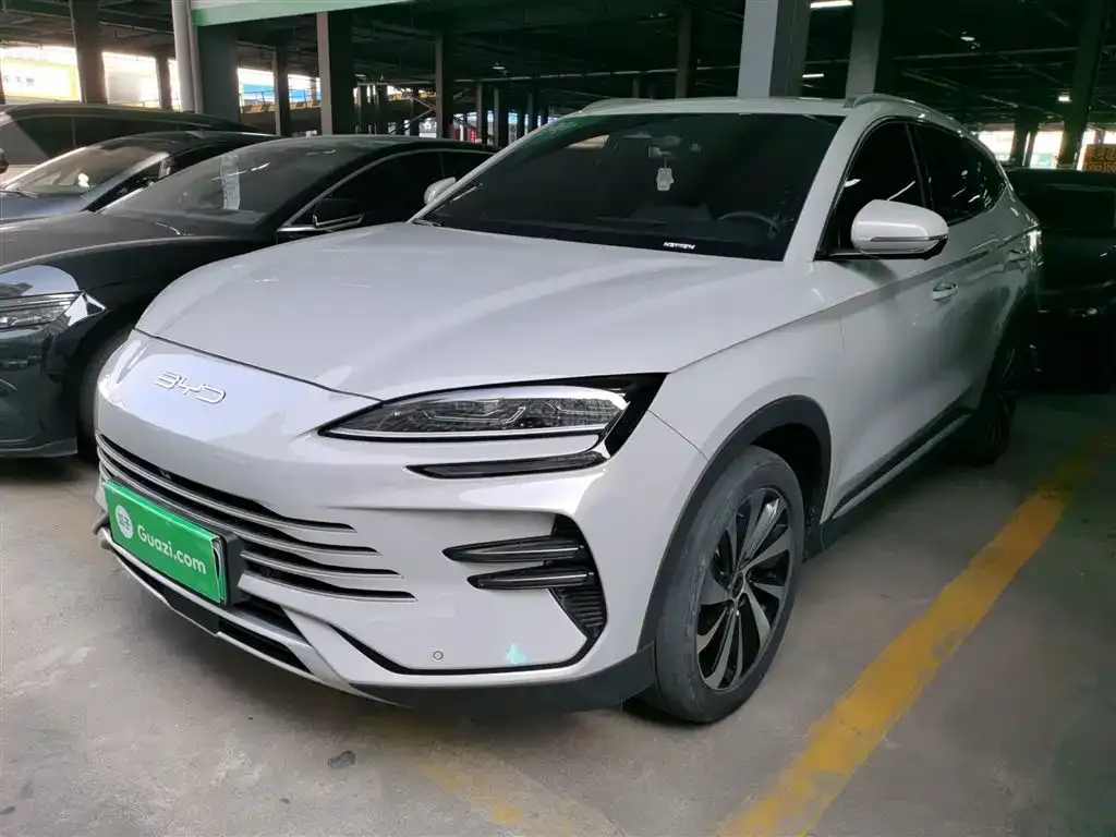 BYD PLUS New Energy 2024 из CN, фото 1