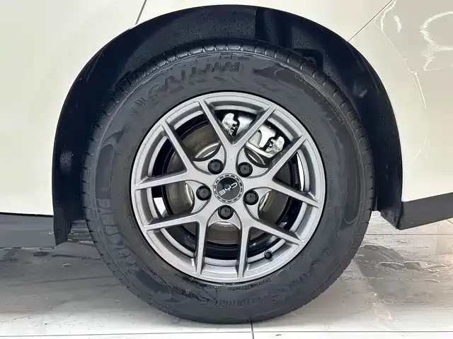 BYD Seal 06 2025 из CN, фото 8