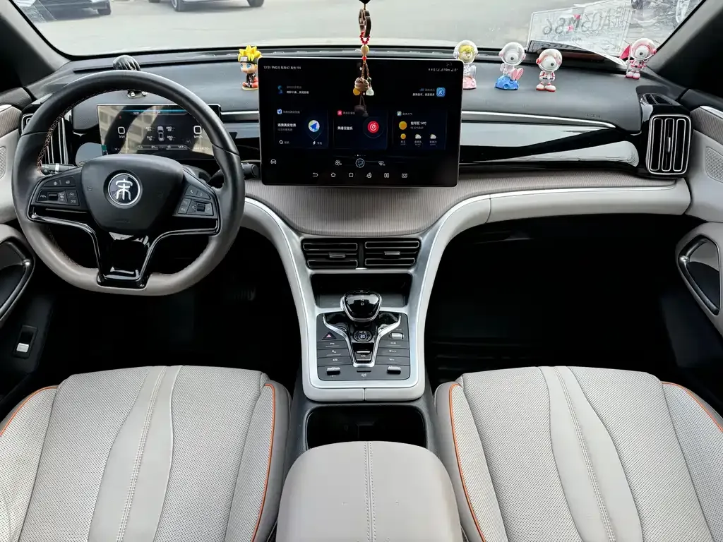 BYD Pro New Energy — фото 7