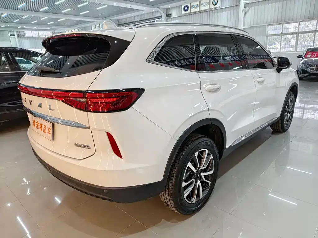 Haval H6 — фото 5