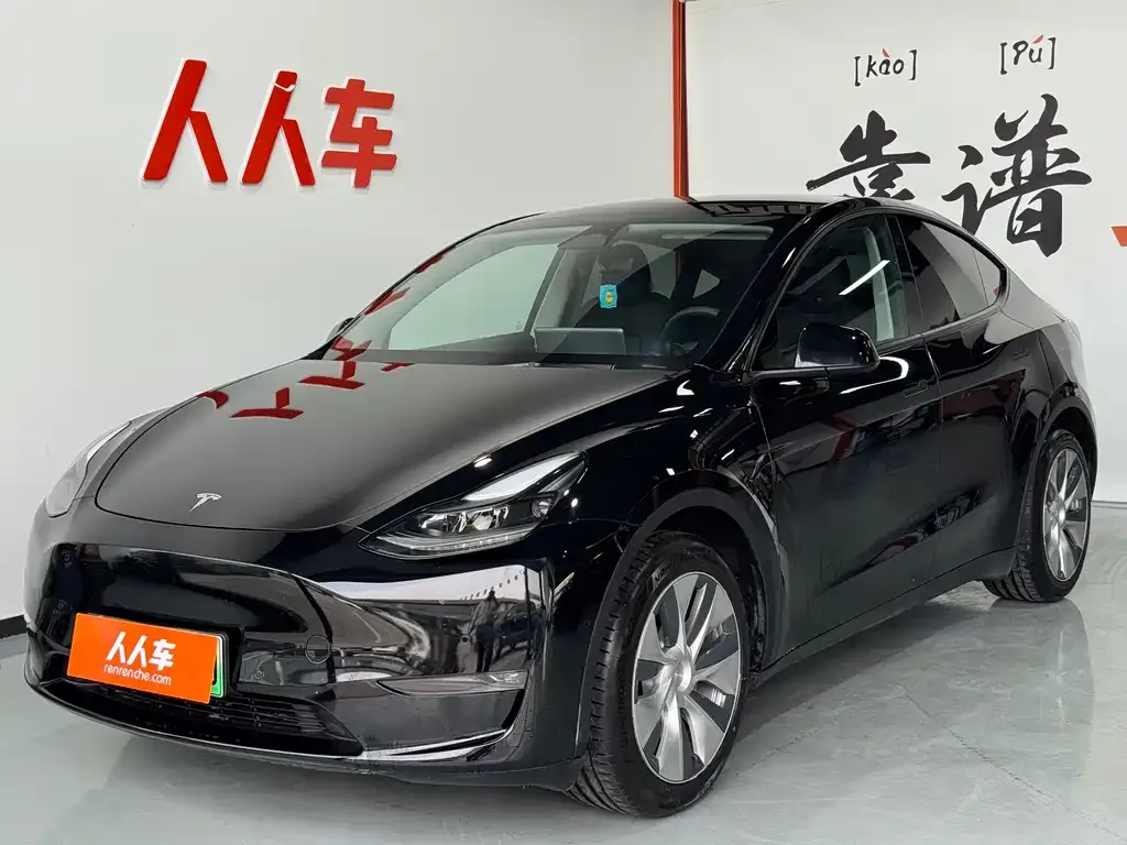 Tesla Model Y 2021 из CN, фото 1