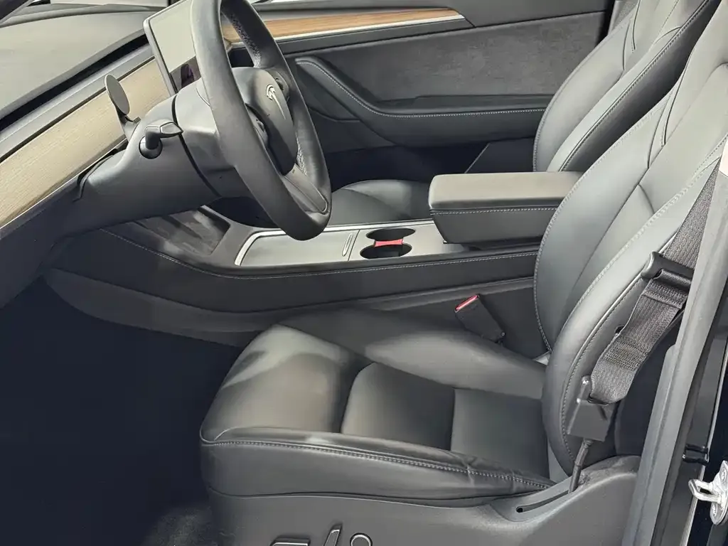 Tesla Model Y 2021 из CN, фото 3