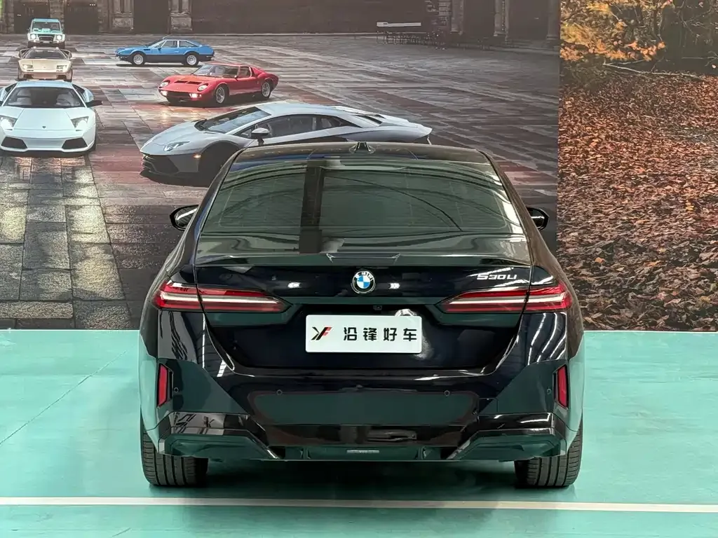 BMW 5 Series 2024 из CN, фото 6