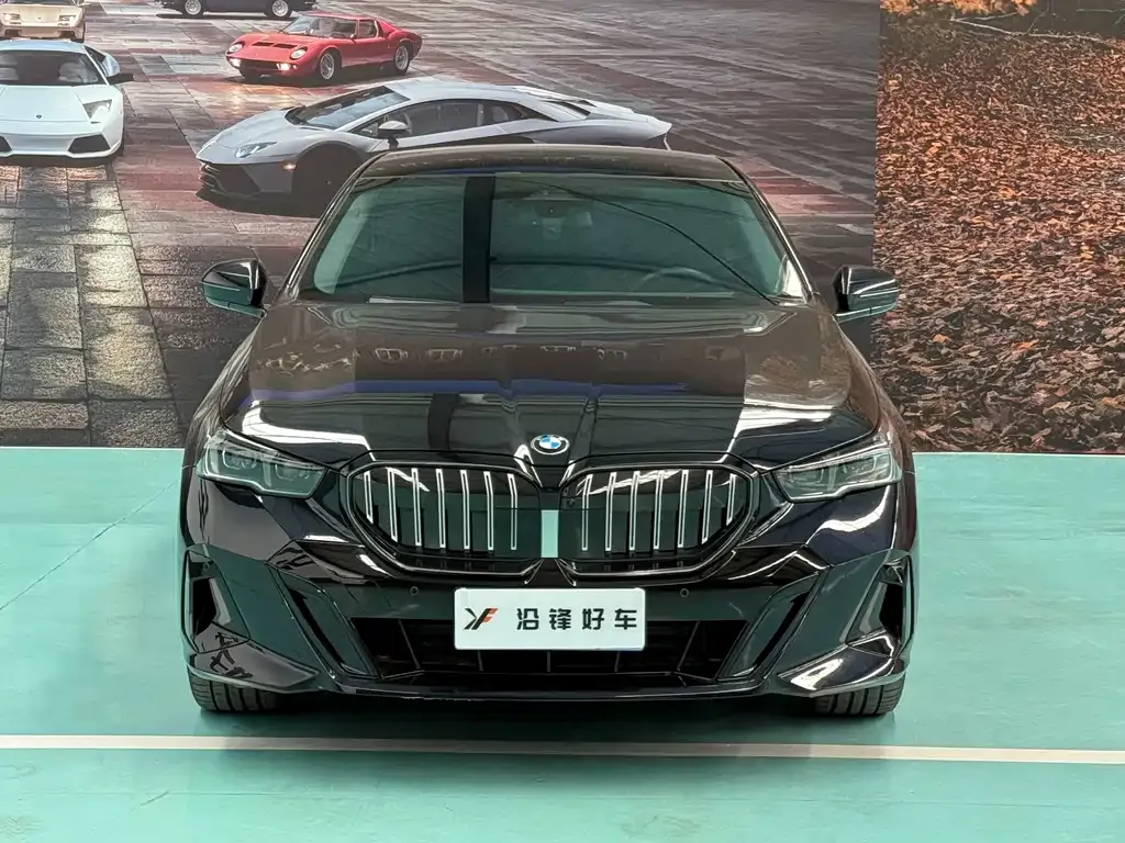 BMW 5 Series 2024 из CN, фото 4