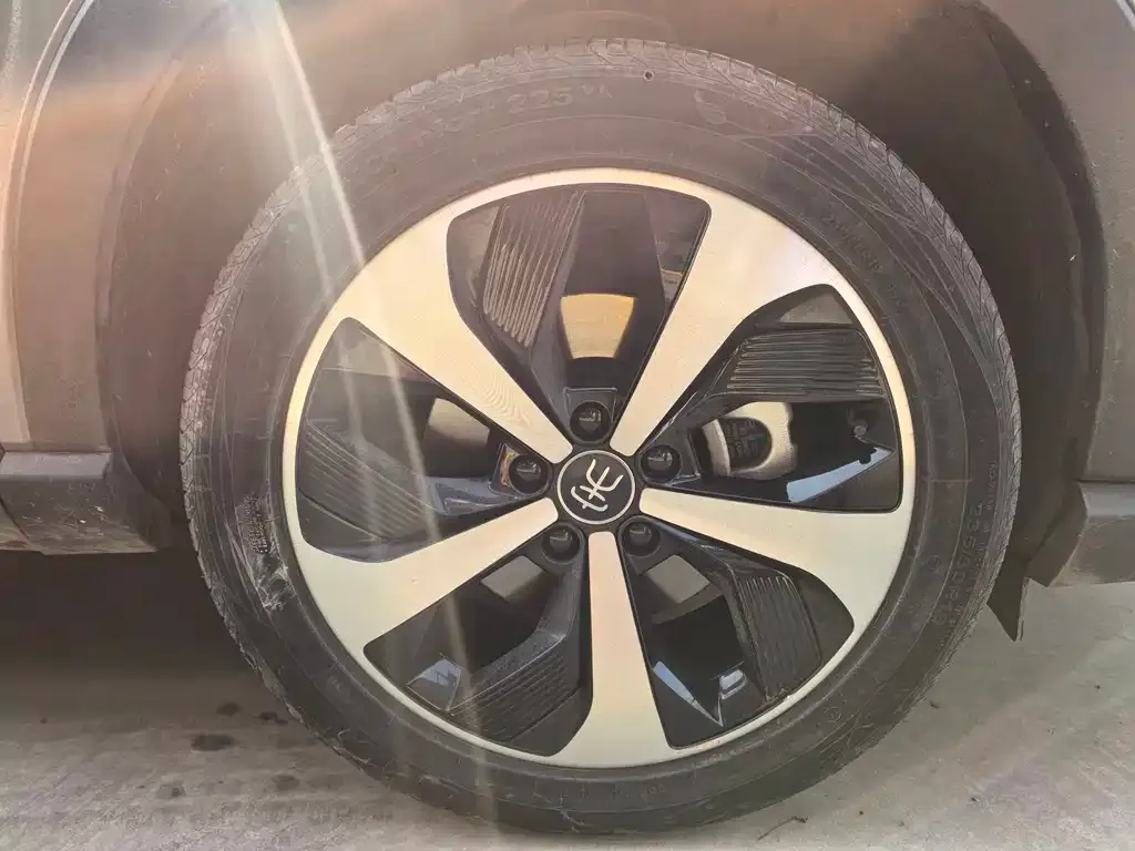 BYD PLUS New Energy 2022 из CN, фото 9