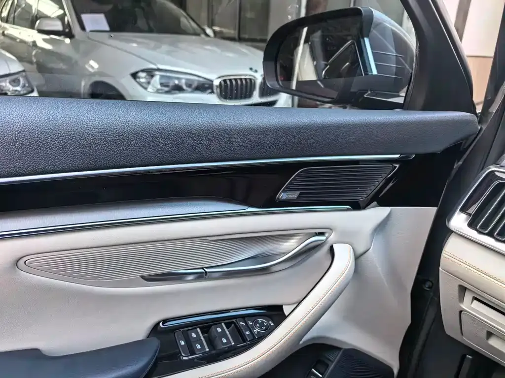 BYD PLUS New Energy 2022 из CN, фото 4