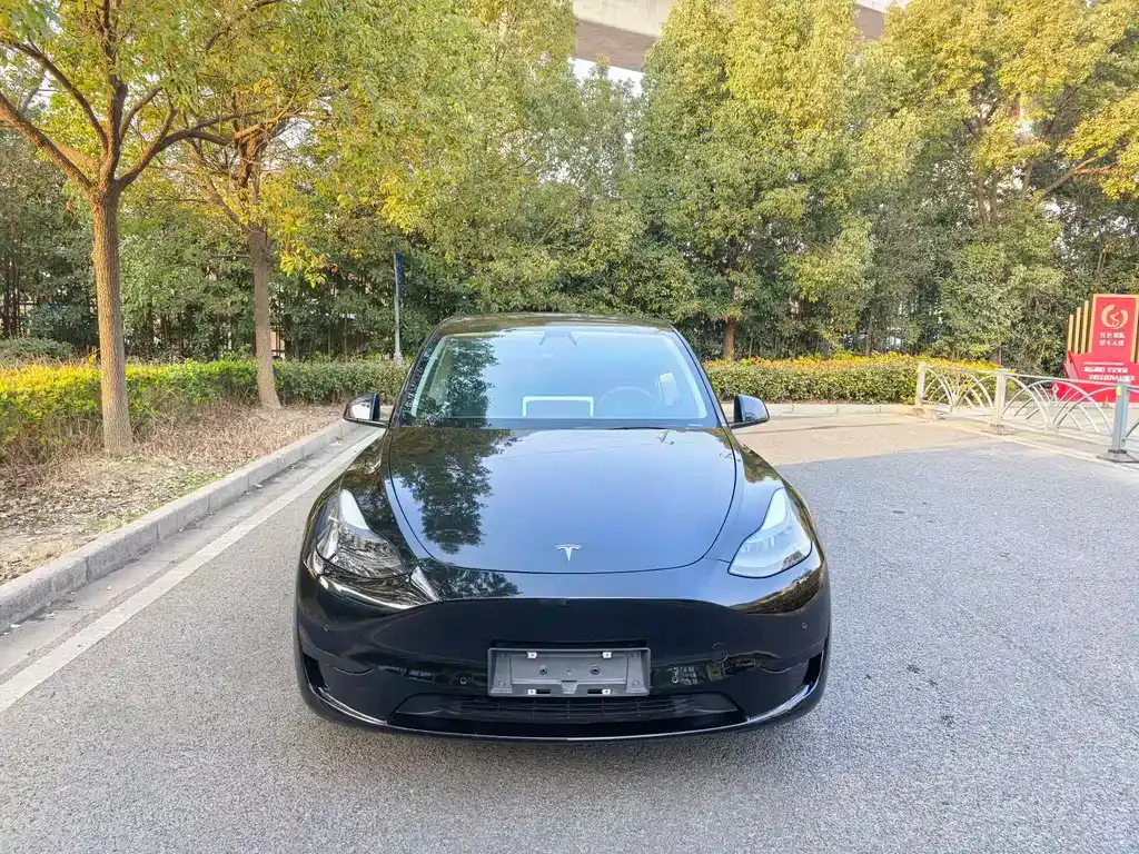 Tesla Model Y — фото 5