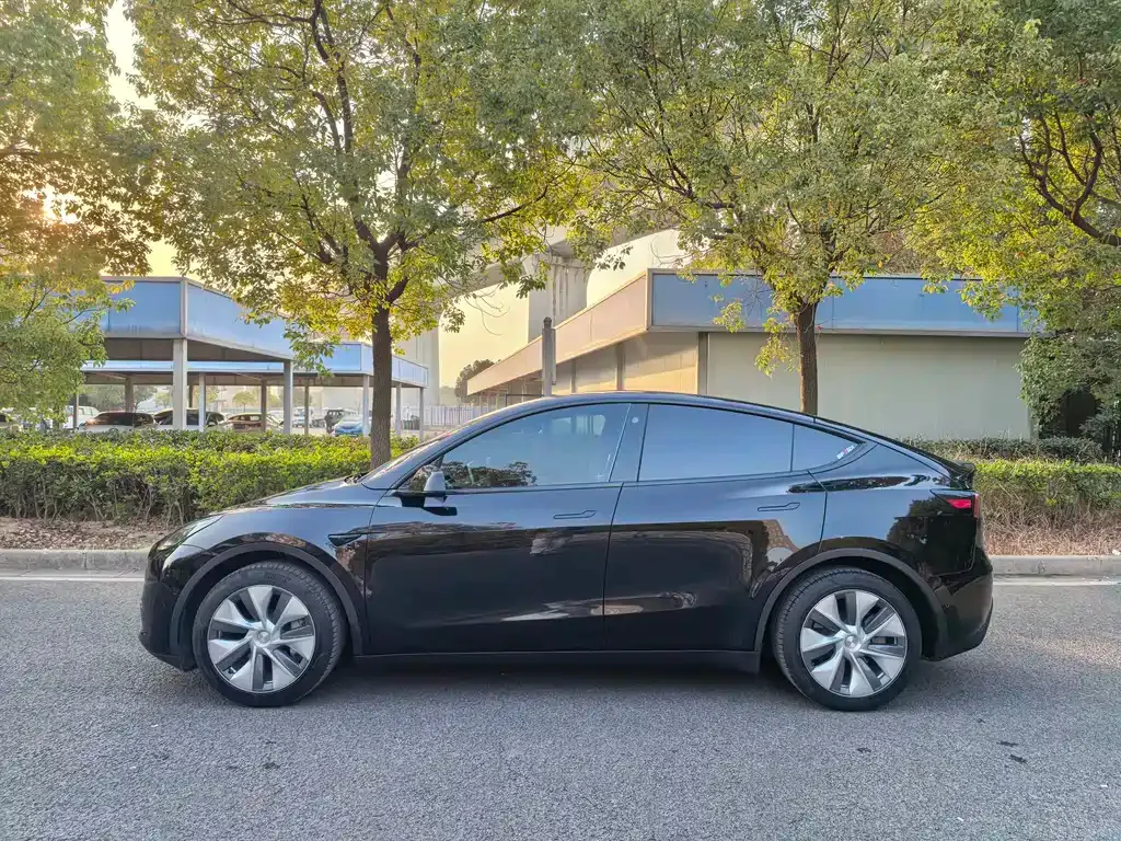 Tesla Model Y — фото 10
