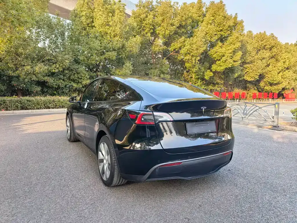 Tesla Model Y — фото 8