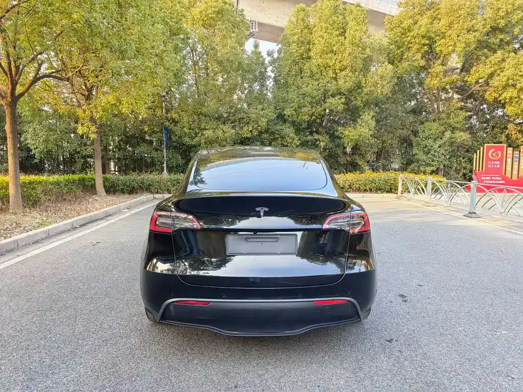 Tesla Model Y — фото 9