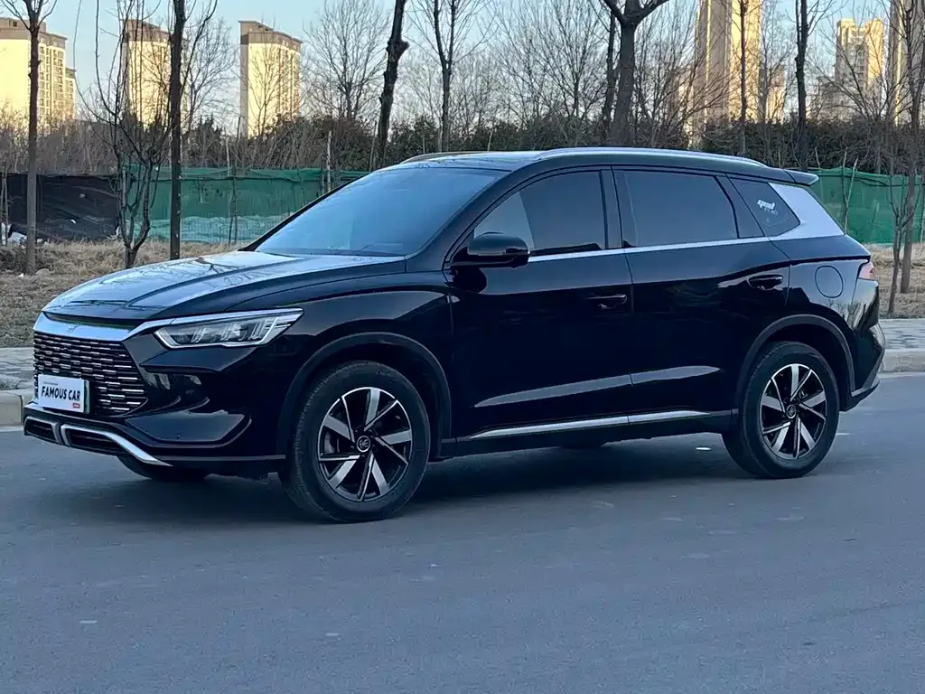 BYD Pro New Energy 2025 из CN, фото 1