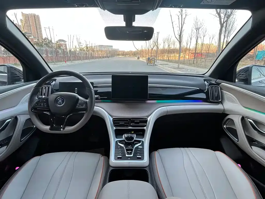 BYD Pro New Energy 2025 из CN, фото 7