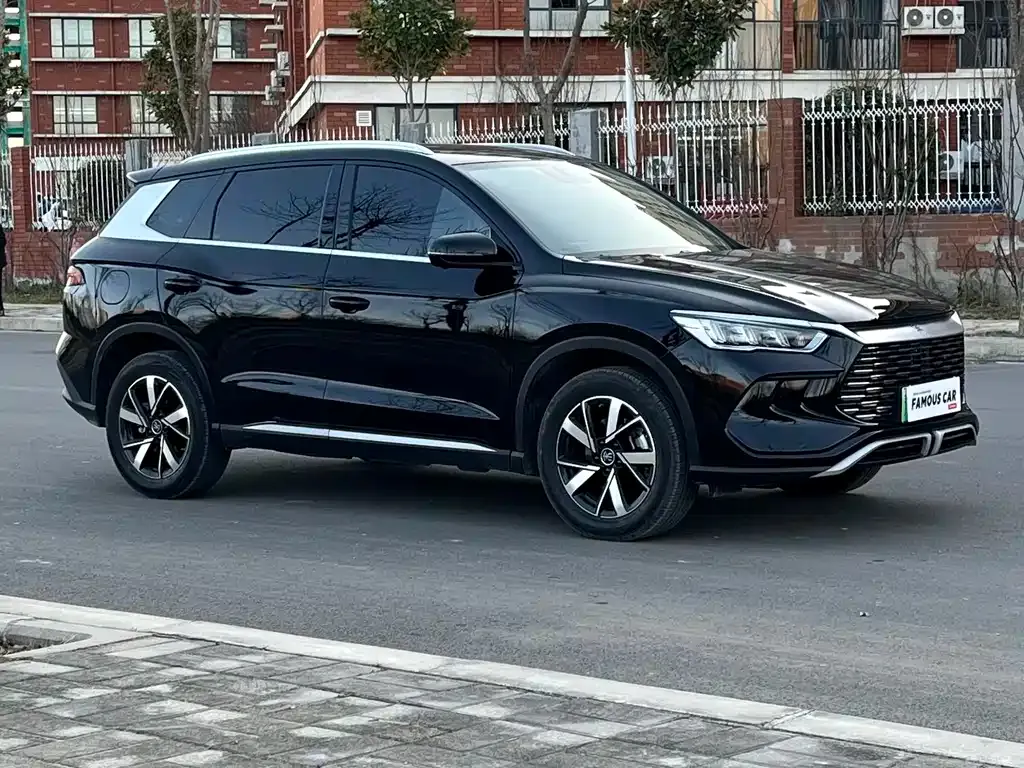 BYD Pro New Energy 2025 из CN, фото 9