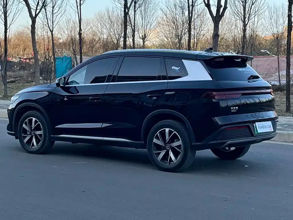 BYD Pro New Energy 2025 из CN, фото 8