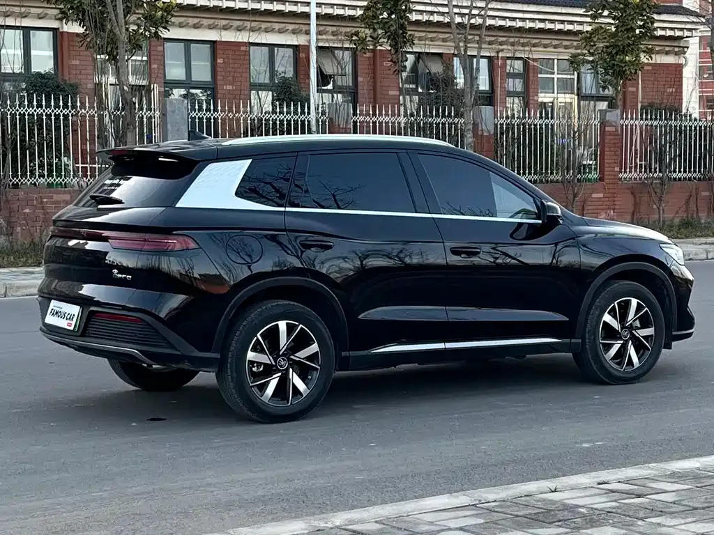 BYD Pro New Energy 2025 из CN, фото 10