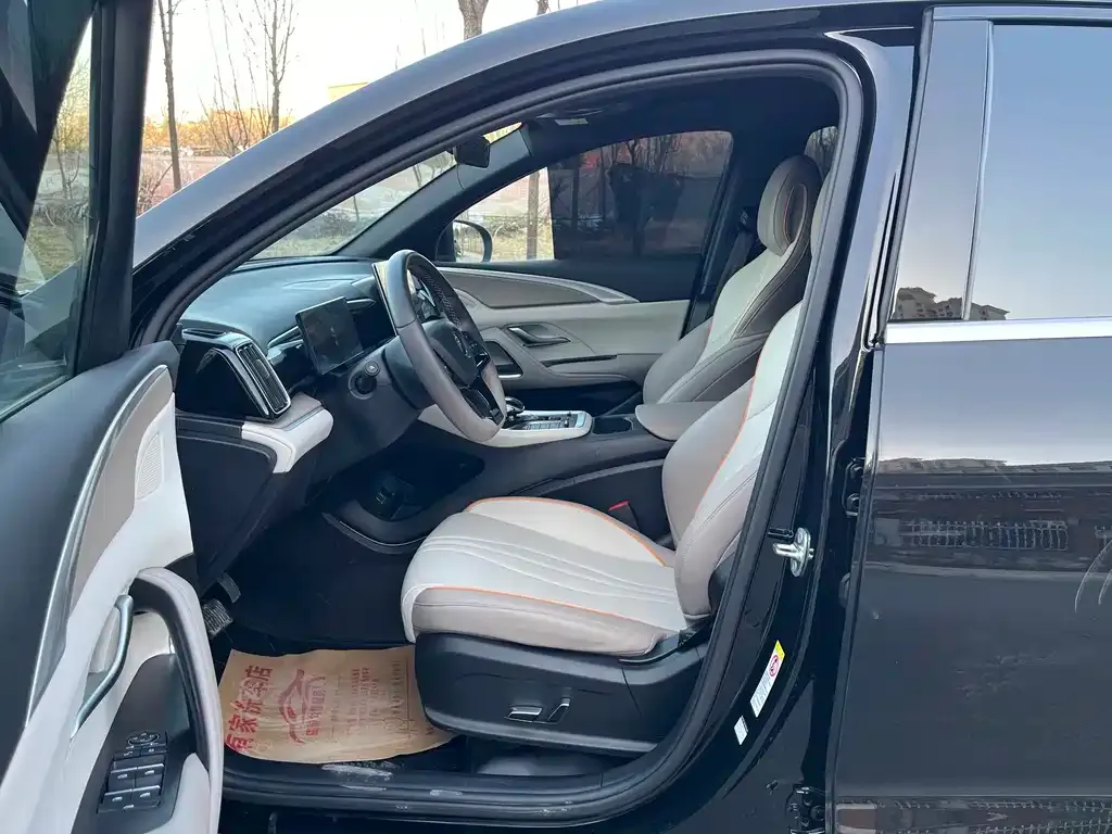 BYD Pro New Energy 2025 из CN, фото 3