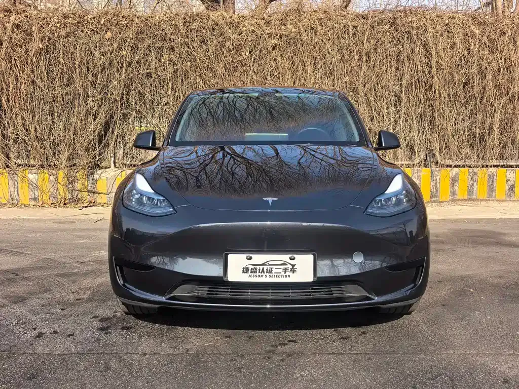 Tesla Model Y — фото 10