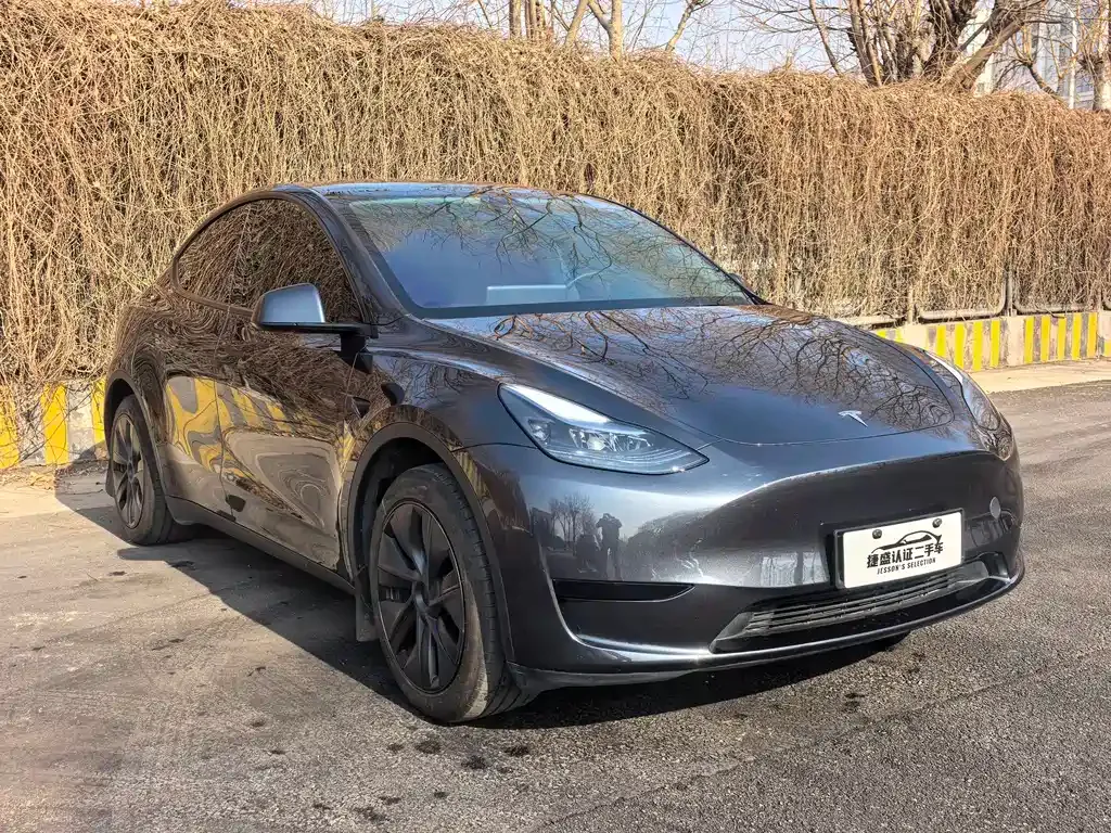 Tesla Model Y — фото 5