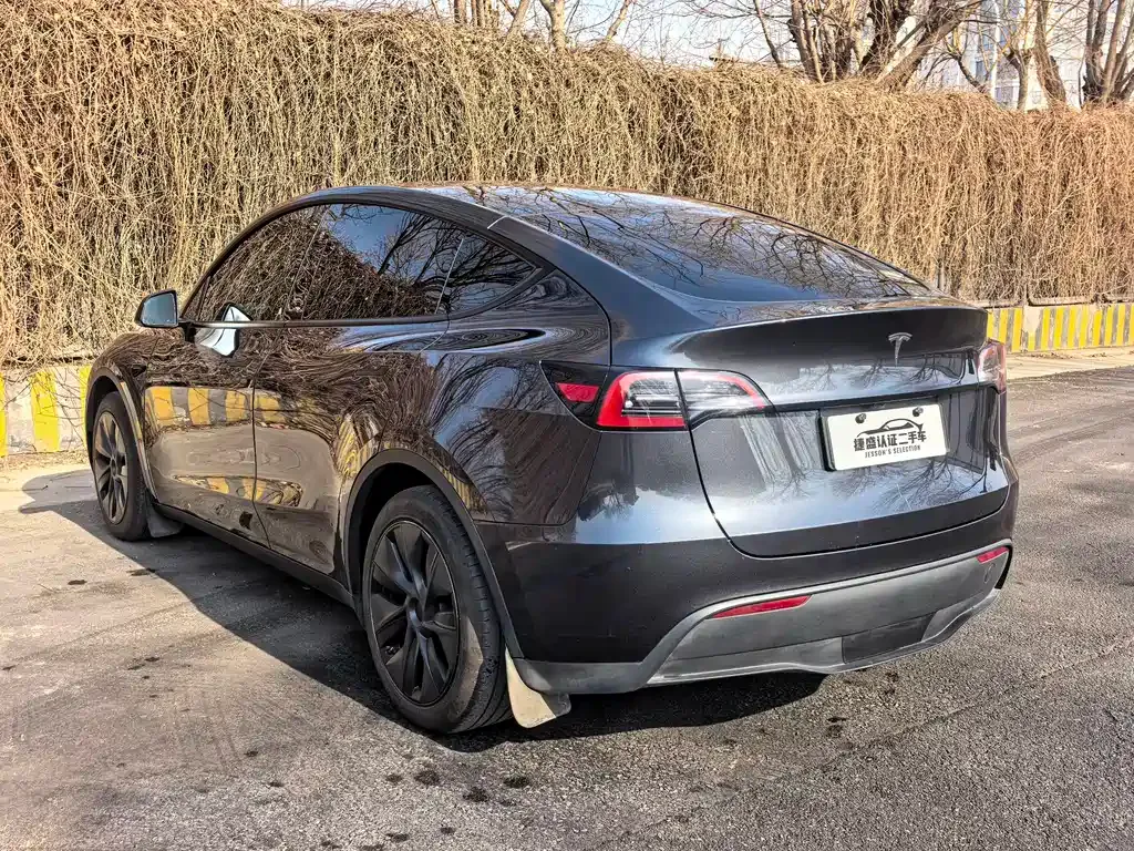 Tesla Model Y — фото 6