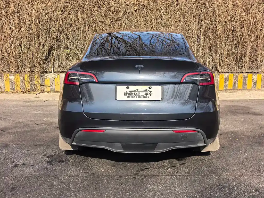 Tesla Model Y — фото 7