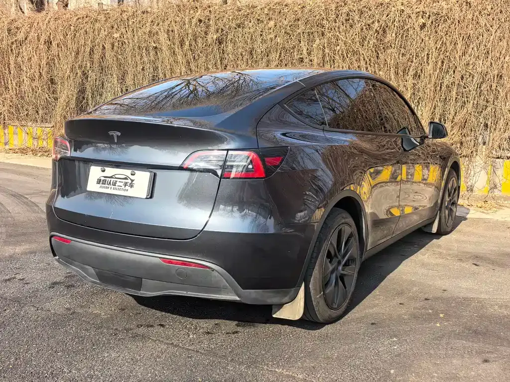Tesla Model Y — фото 8