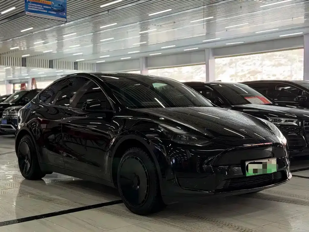 Tesla Model Y — фото 7