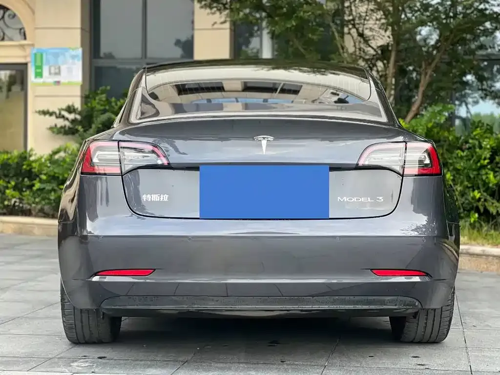 Tesla Model 3 2021 из CN, фото 5