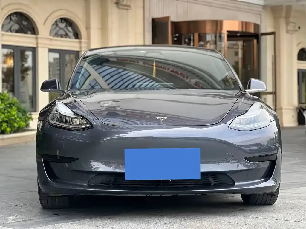 Tesla Model 3 2021 из CN, фото 3