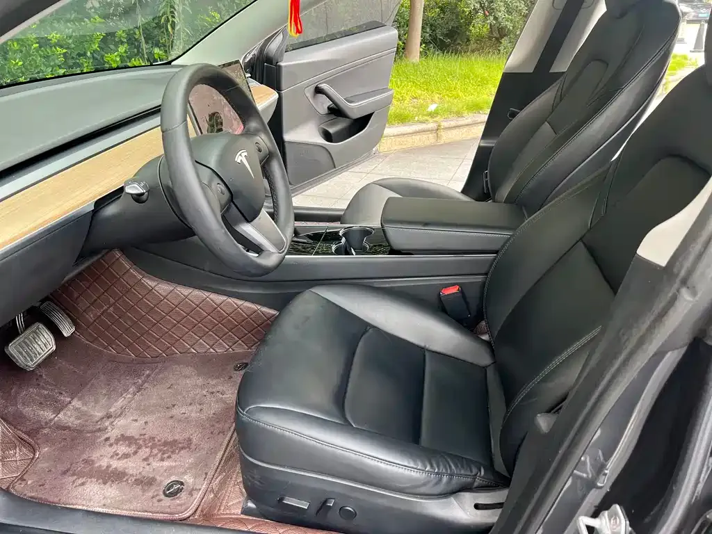 Tesla Model 3 2021 из CN, фото 7