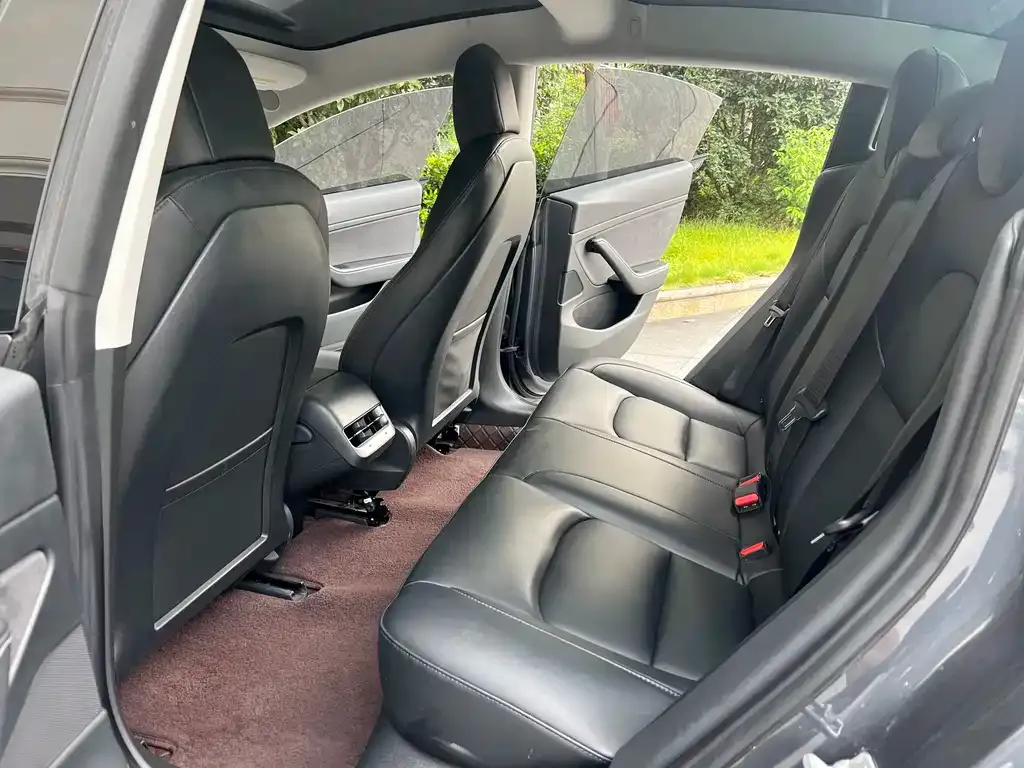 Tesla Model 3 2021 из CN, фото 4