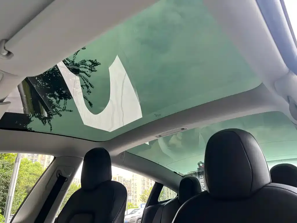 Tesla Model 3 2021 из CN, фото 2