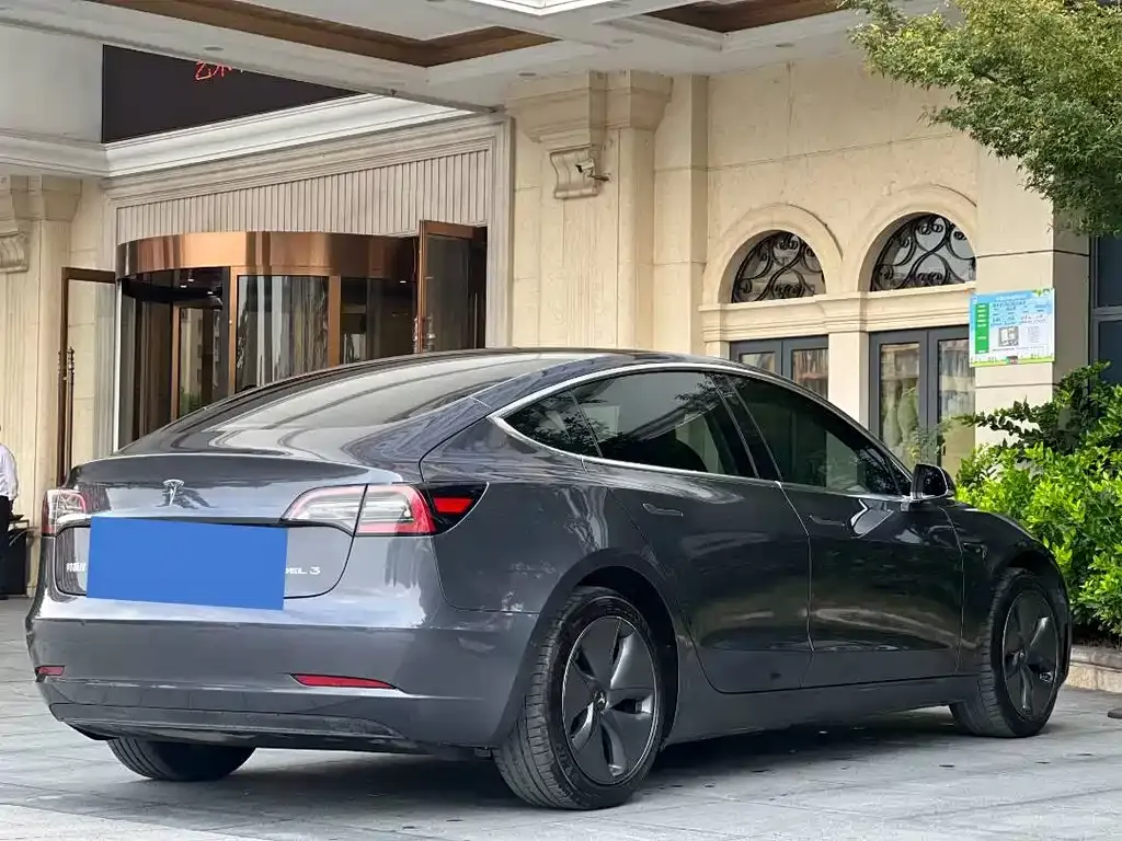 Tesla Model 3 2021 из CN, фото 6