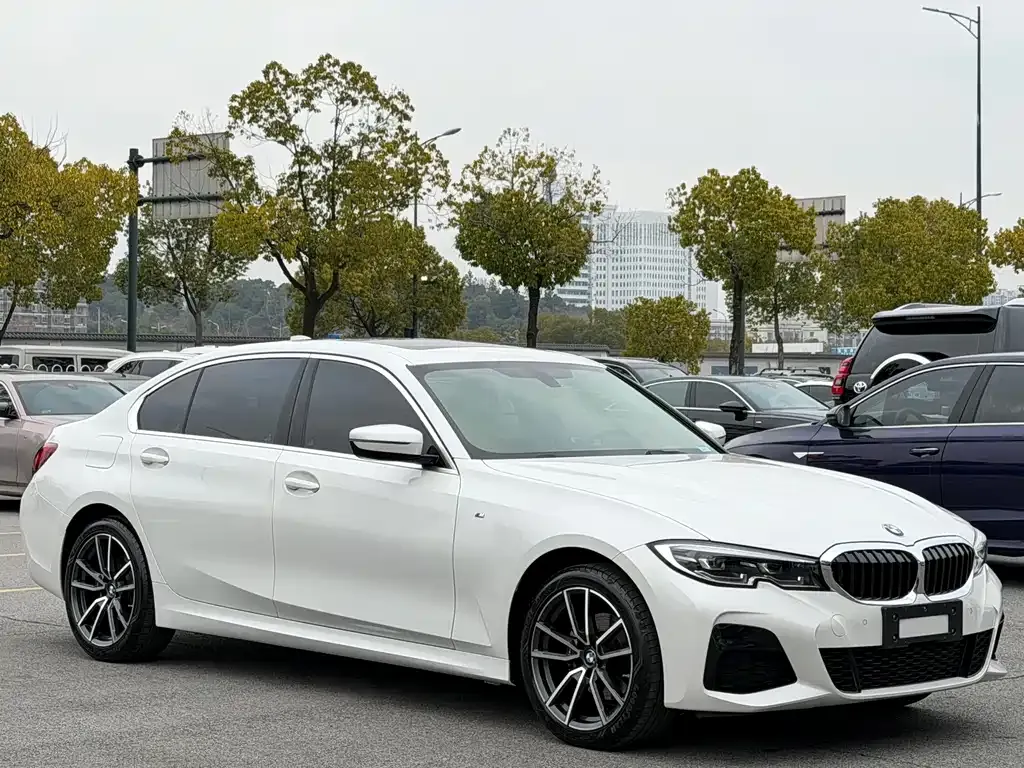 BMW 3 Series 2022 из CN, фото 6