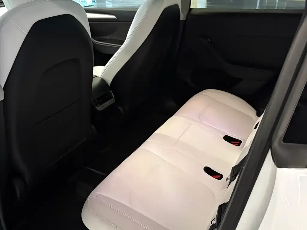Tesla Model Y 2022 из CN, фото 2