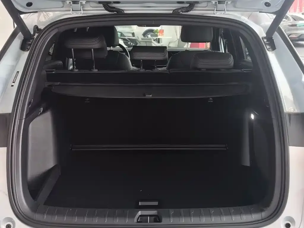 BYD L DM-i — фото 4