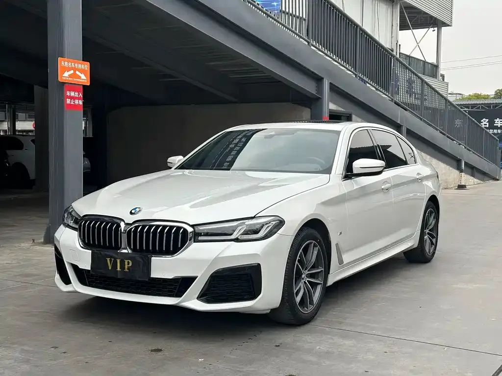 BMW 5 Series 2021 из CN, фото 1