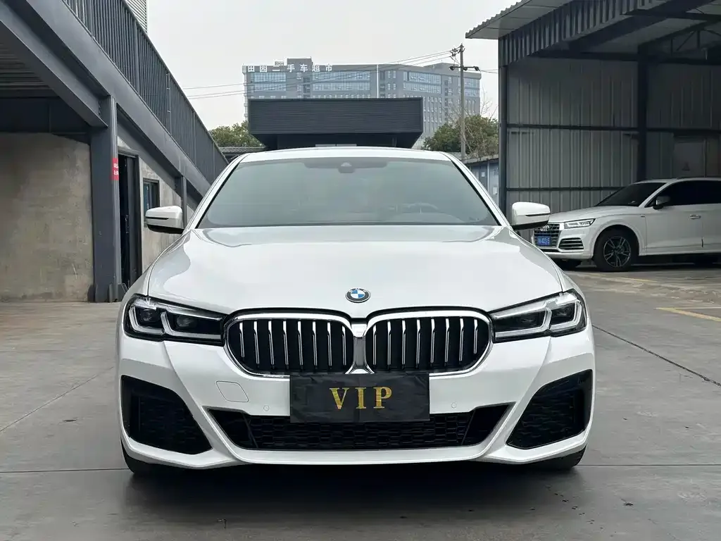 BMW 5 Series 2021 из CN, фото 3
