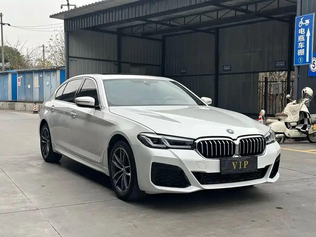 BMW 5 Series 2021 из CN, фото 8