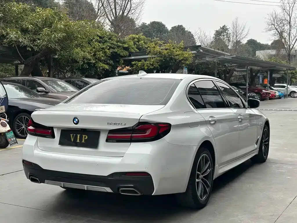 BMW 5 Series 2021 из CN, фото 9