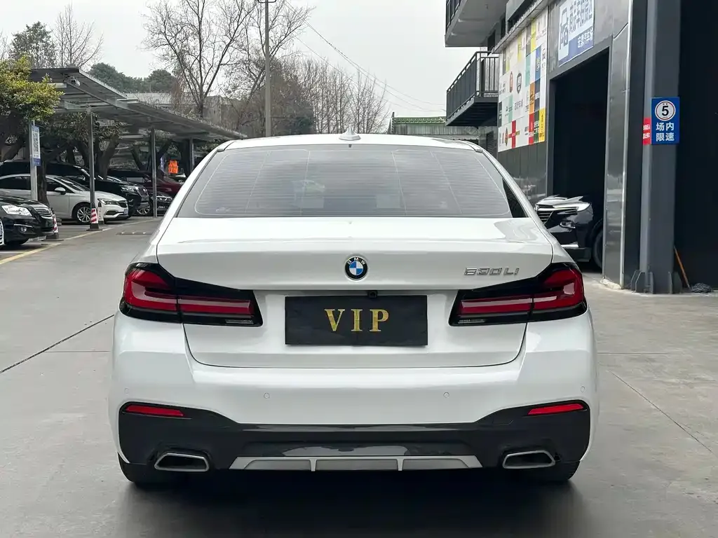 BMW 5 Series 2021 из CN, фото 4